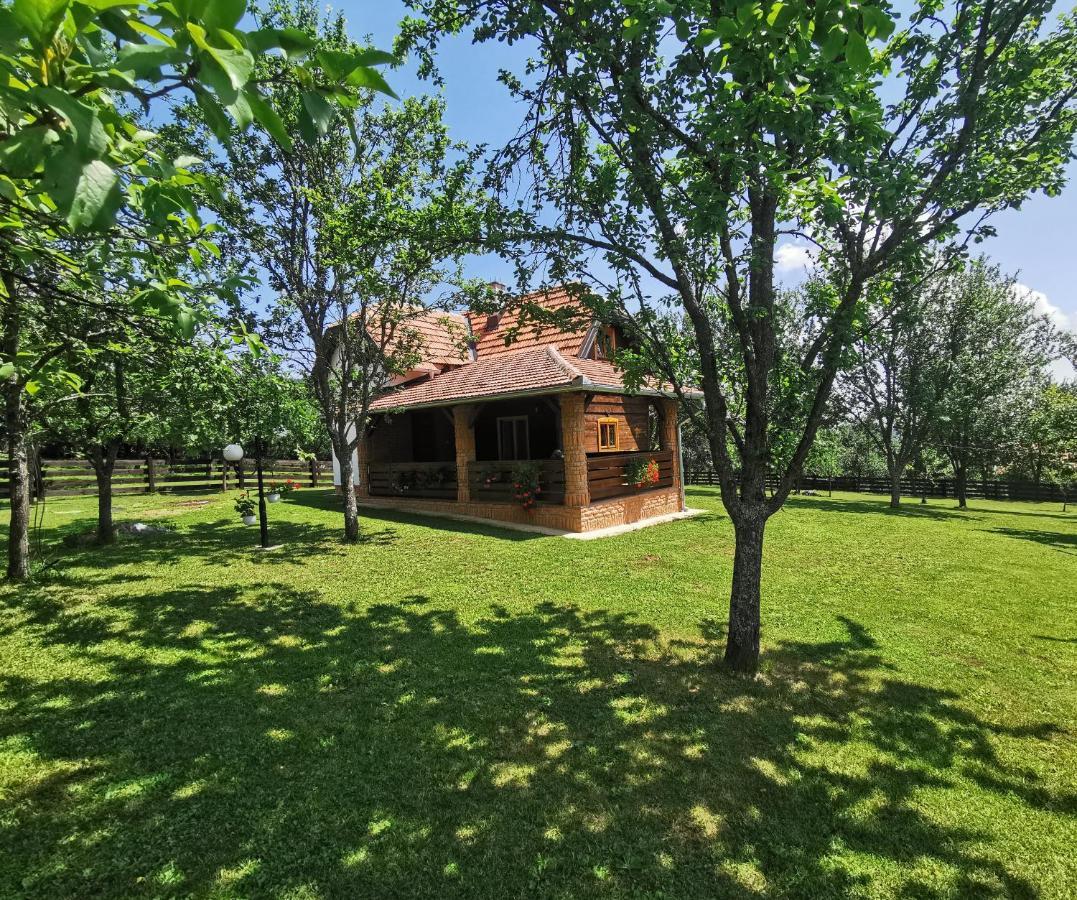 Seosko Domacinstvo Bondzulic Appartement Užice Buitenkant foto