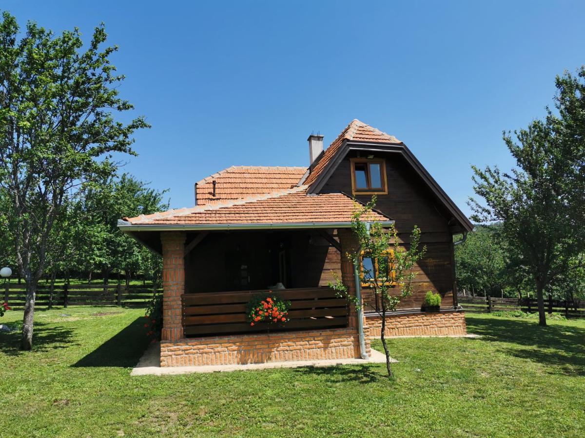 Seosko Domacinstvo Bondzulic Appartement Užice Buitenkant foto
