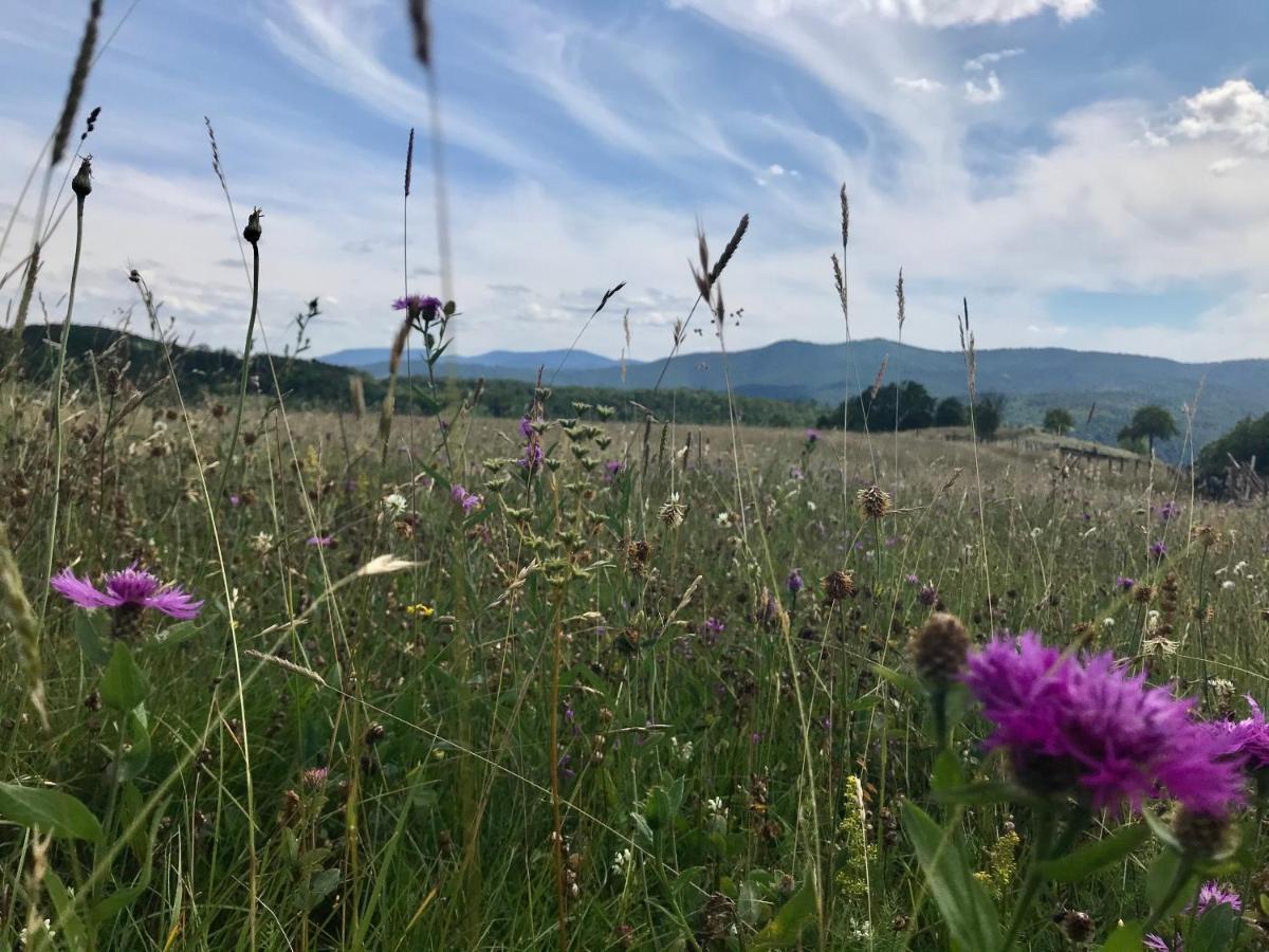 Seosko Domacinstvo Bondzulic Appartement Užice Buitenkant foto