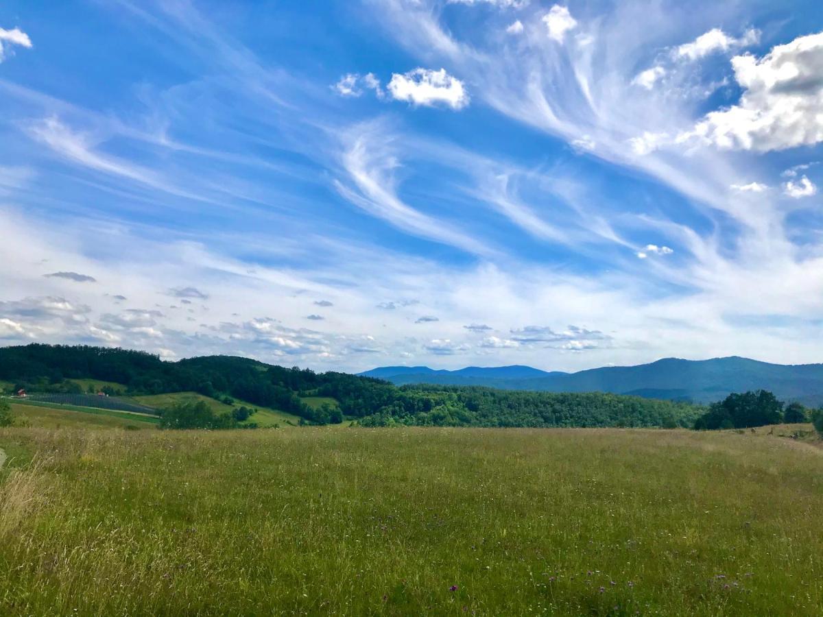 Seosko Domacinstvo Bondzulic Appartement Užice Buitenkant foto